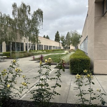 Jonathan C. Wang, DDS - General Dentistry Near Me - Pleasanton, California Jonathan C. Wang, DDS - General Dentistry Near Me - Pleasanton, California