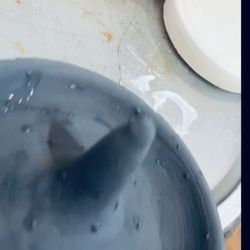 Donna Casey Holistic Wellness & Therapeutic Art - Glazing session