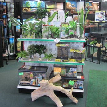 Stingers Exotics - Pet Stores Near Me - Livonia, Michigan Stingers Exotics - Pet Stores Near Me - Livonia, Michigan