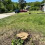 Photo of Burns Tree Services