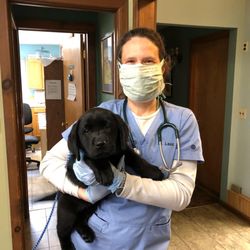 Rondout Valley Veterinary Associates