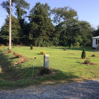 TN Nursery - plenty of room for MORE PLANTS - Nurseries & Gardening Near Me - Altamont, Tennessee TN Nursery - plenty of room for MORE PLANTS - Nurseries & Gardening Near Me - Altamont, Tennessee