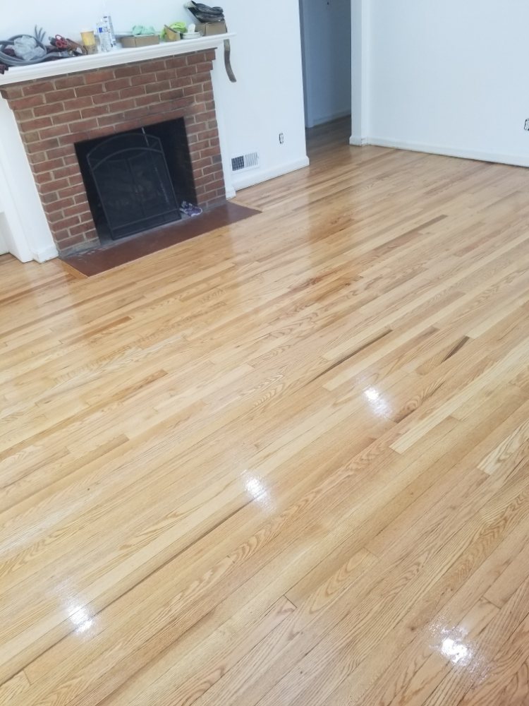 Slide of Lion Services