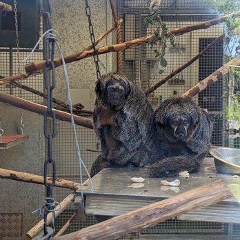 Fota Wildlife Park - Parks Near Me - Fota, Colorado