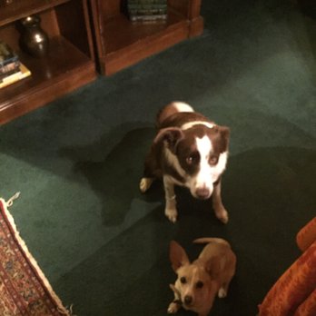 Starlight Canyon - They allow pups - Hotels Near Me - Amarillo, Texas