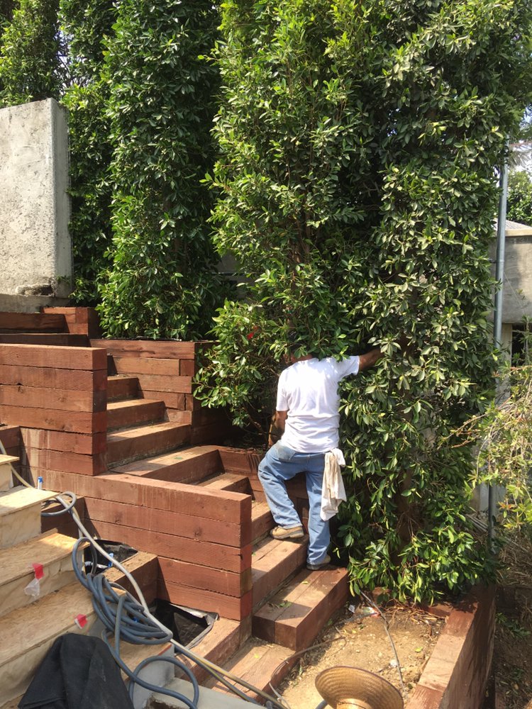 Slide of Angel’s Handyman