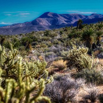 Late Night Trailhead - Hiking Near Me - Blue Diamond, Nevada