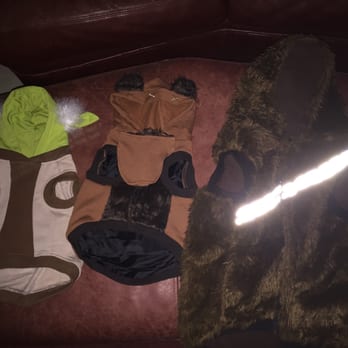 Petco - Halloween Costumes 2015!!! Papí is Yoda, Giz is an Ewok & Ty is CHEWWYYY!!!! :D - Pet Stores Near Me - Del Mar, California
