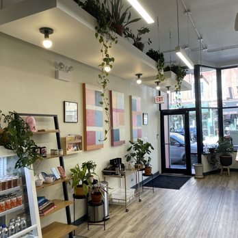 Prequel Cafe - So many plants - Bakeries Near Me - Chicago, Illinois Prequel Cafe - So many plants - Bakeries Near Me - Chicago, Illinois