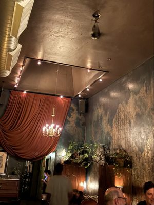 The Cat House by null