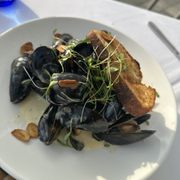 Photo of Blue Moon Fish - Lauderdale by the Sea, FL, United States. Green Curry Mussels