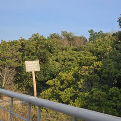 Pavilion at Sunken Meadow - Distance
