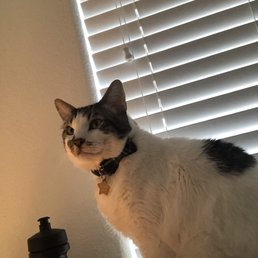 Bukowski's post-groom glow