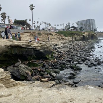 La Jolla Cove - Parks Near Me - La Jolla, California
