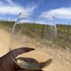 Pence Vineyards & Winery gift card