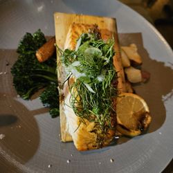 Harvest Seasonal Grill - North Wales - Salmon