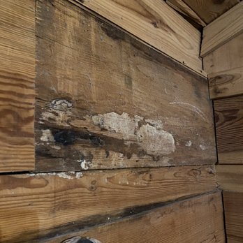 Mountain View Cabin Rentals - White mold/ water damage on wall - Vacation Rentals Near Me - Tellico Plains, Tennessee Mountain View Cabin Rentals - White mold/ water damage on wall - Vacation Rentals Near Me - Tellico Plains, Tennessee
