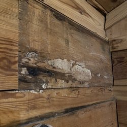 Mountain View Cabin Rentals - White mold/ water damage on wall