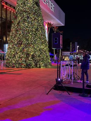 Long Beach Terrace Theater by null