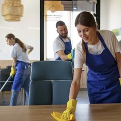 The Scrub Club - residential cleaning