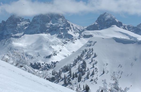 Village Ski & Snowboard by null