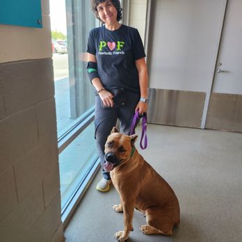 CeCe's Pack - CeCe Cannavo, Dog Trainer - Pet Training Near Me CeCe's Pack - CeCe Cannavo, Dog Trainer - Pet Training Near Me