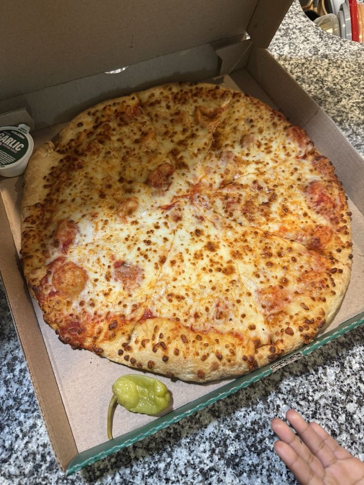 Papa Johns Pizza Logo