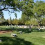 Green Valley Cemetery