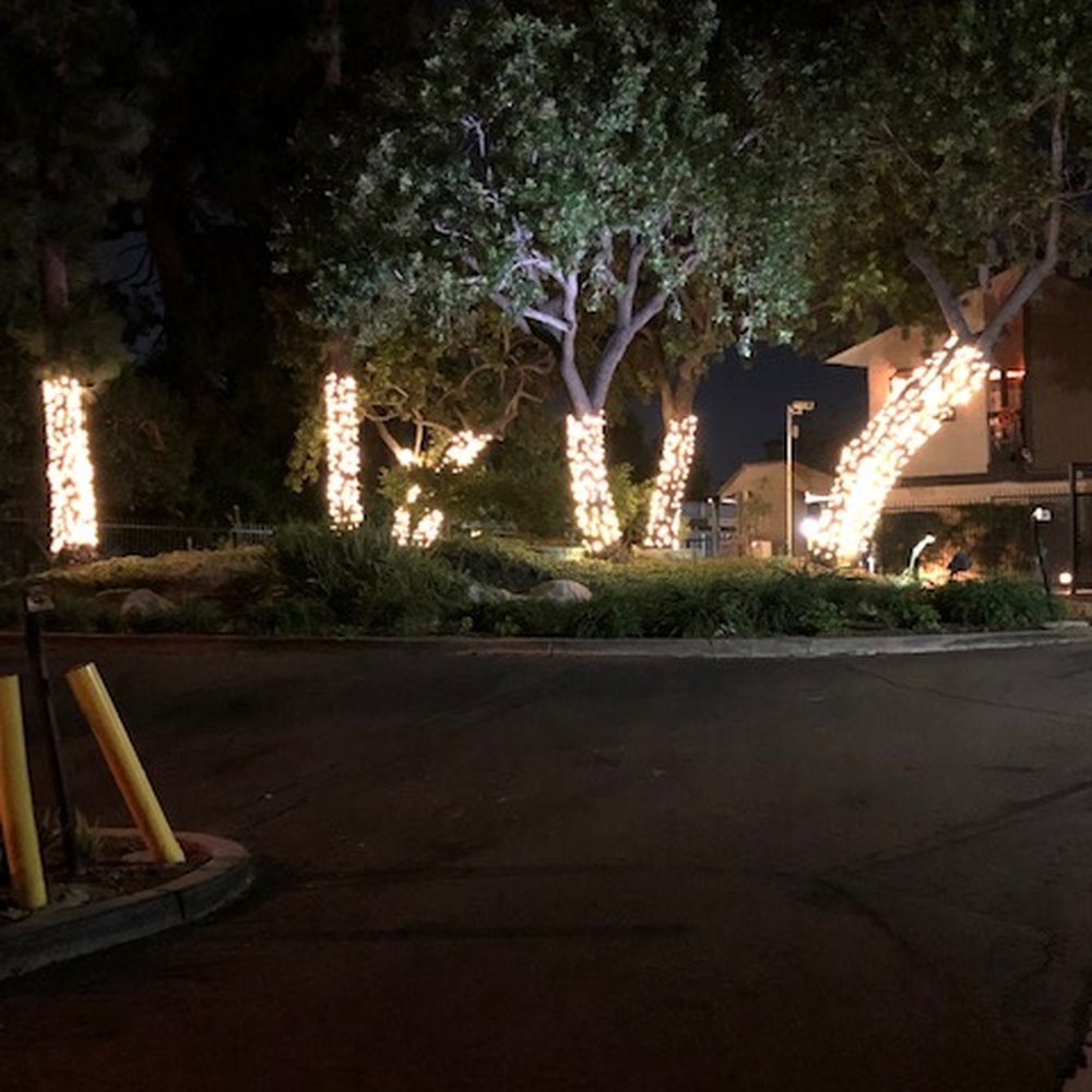 Holiday Light Installations - Holiday Decorating Services Near Me Holiday Light Installations - Holiday Decorating Services Near Me