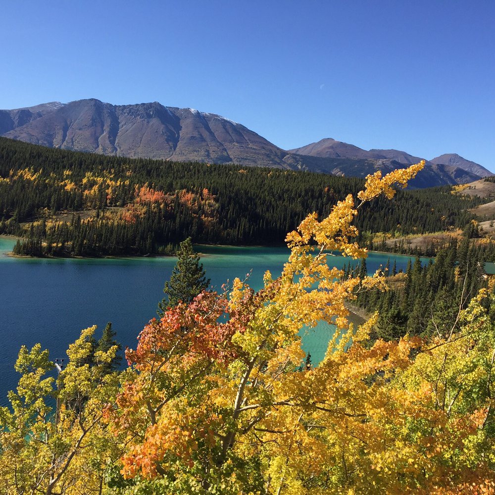 Frontier Excursions & Adventures - Tours Near Me - Skagway, Alaska Frontier Excursions & Adventures - Tours Near Me - Skagway, Alaska