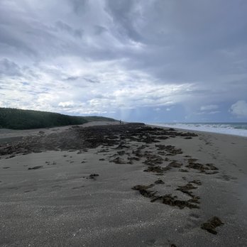 Blowing Rocks Preserve - Beaches Near Me - Hobe Sound, Florida