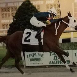 New World Thoroughbreds - Isabelle's Boots