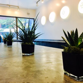 Il Miglio - three potted plants on a table - Italian Near Me - Montreal, Quebec