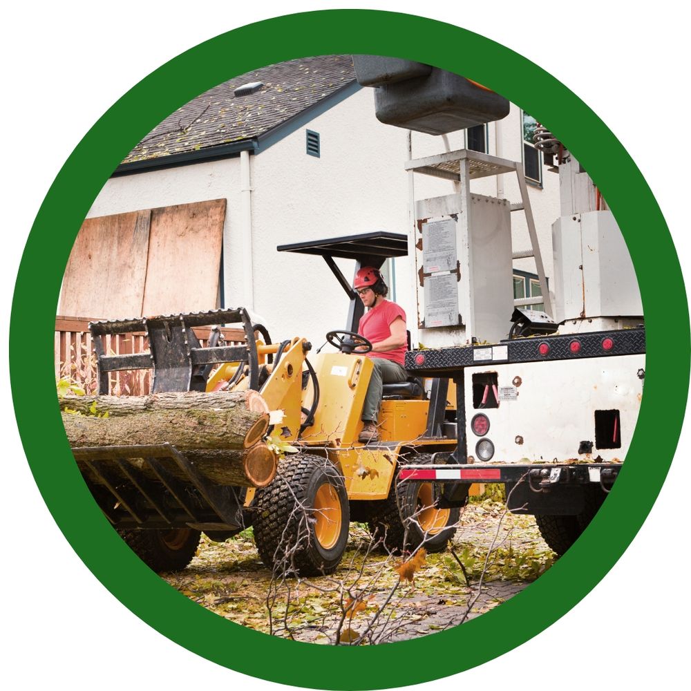 TOP NOTCH TREE SERVICE - Updated July 2026 - 15 Photos - 14091 West Old ...