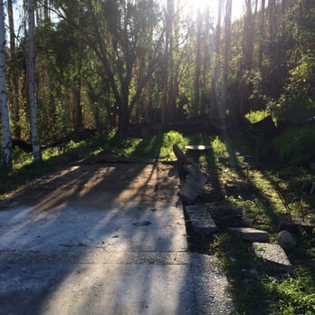 Samayoa Landscaping Berkeley - During. This concrete pad was removed here. - Landscaping Near Me