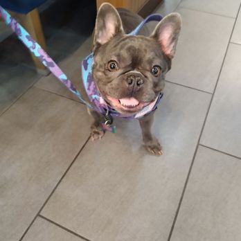 Four Corners Eatery - We love your pups too!! - Delis Near Me - Redlands, California Four Corners Eatery - We love your pups too!! - Delis Near Me - Redlands, California
