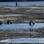 Photo of Openwater Habitat Marine Schools