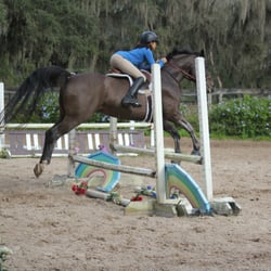 Brookmore Farms - Olivia and Nova