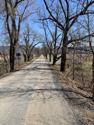 Meems Bottom Covered Bridge by null