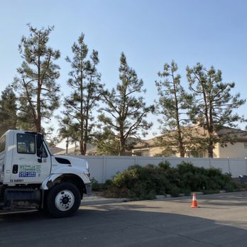 Salas Tree Service - Bakersfield - Tree Services Near Me - Bakersfield, California Salas Tree Service - Bakersfield - Tree Services Near Me - Bakersfield, California