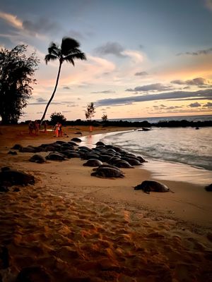 Poipu Beach Park by null