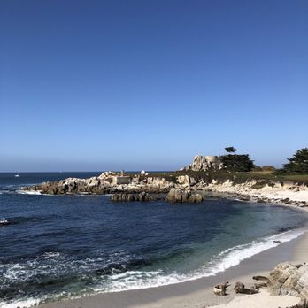 Pacific Grove Adventures - Tours Near Me - Pacific Grove, California Pacific Grove Adventures - Tours Near Me - Pacific Grove, California