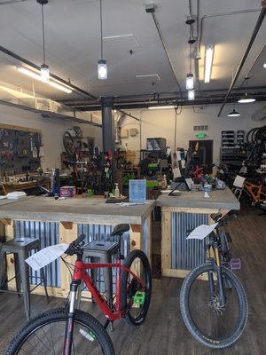 Cripple Creek Bike and Backcountry by null