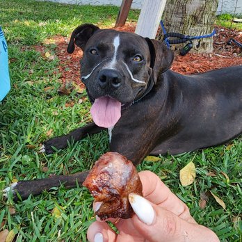 Wicked Bread Co - A gratuitous picture of my dog drooling for a piece of this cinnamon bread. Appreciate the drool - American Near Me - Plantation , Florida Wicked Bread Co - A gratuitous picture of my dog drooling for a piece of this cinnamon bread. Appreciate the drool - American Near Me - Plantation , Florida