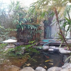 Hoang, Annie, DDS - Relaxing view at Dr. Hoang's office.