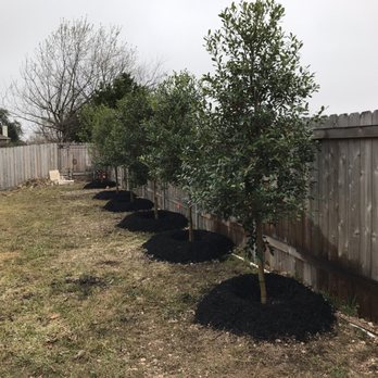 Moon Valley Nurseries - Nurseries & Gardening Near Me - Austin, Texas