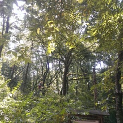 Treja Adventure