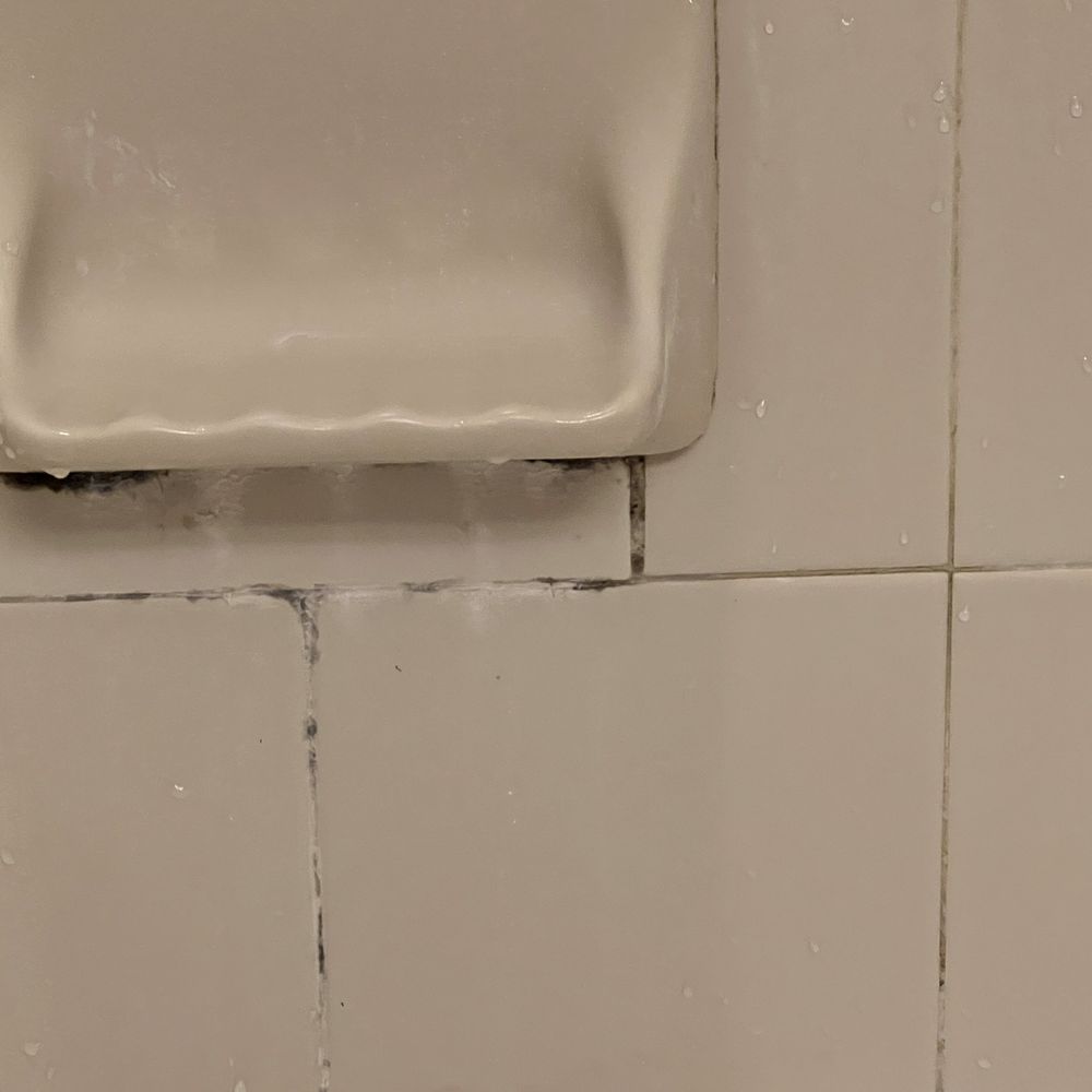 Hilton Parsippany - Mold in bathrooms - Hotels Near Me - Parsippany, New Jersey