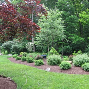 Hilltop Turf & Landscaping - After: Back woods bed with new dogwood and shrubs - Landscaping Near Me Hilltop Turf & Landscaping - After: Back woods bed with new dogwood and shrubs - Landscaping Near Me