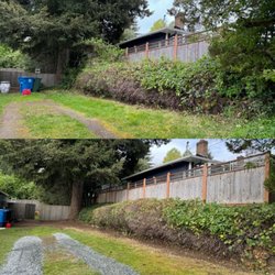 Easy Lawn Care & Landscaping - Before and after